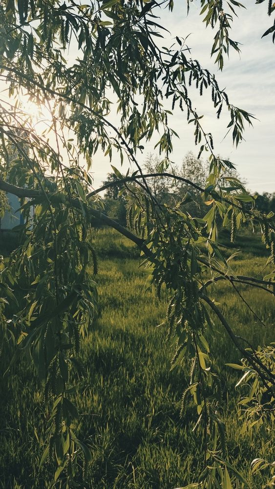 Photograph by Гейденрейх Анастасия