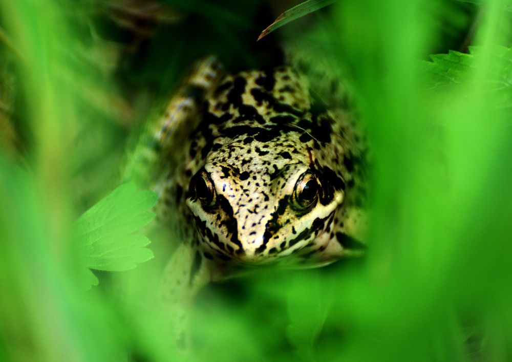Photograph by Игорь Столяров