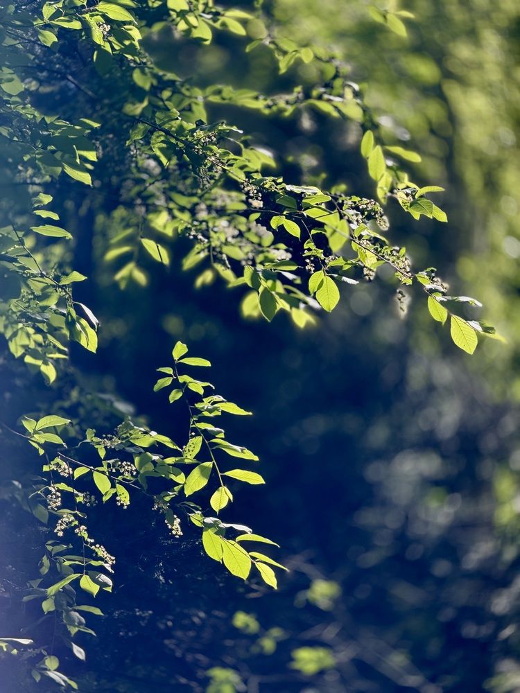 Photograph by Галина Шиманцова