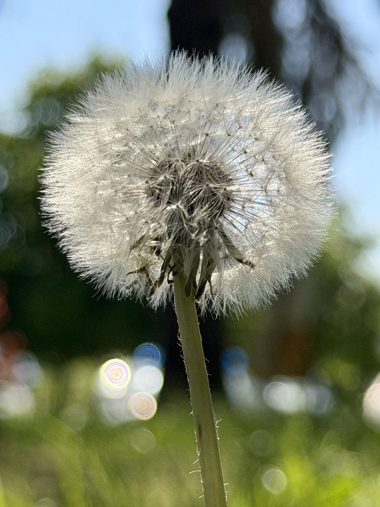 Photograph by Deyan Borisov