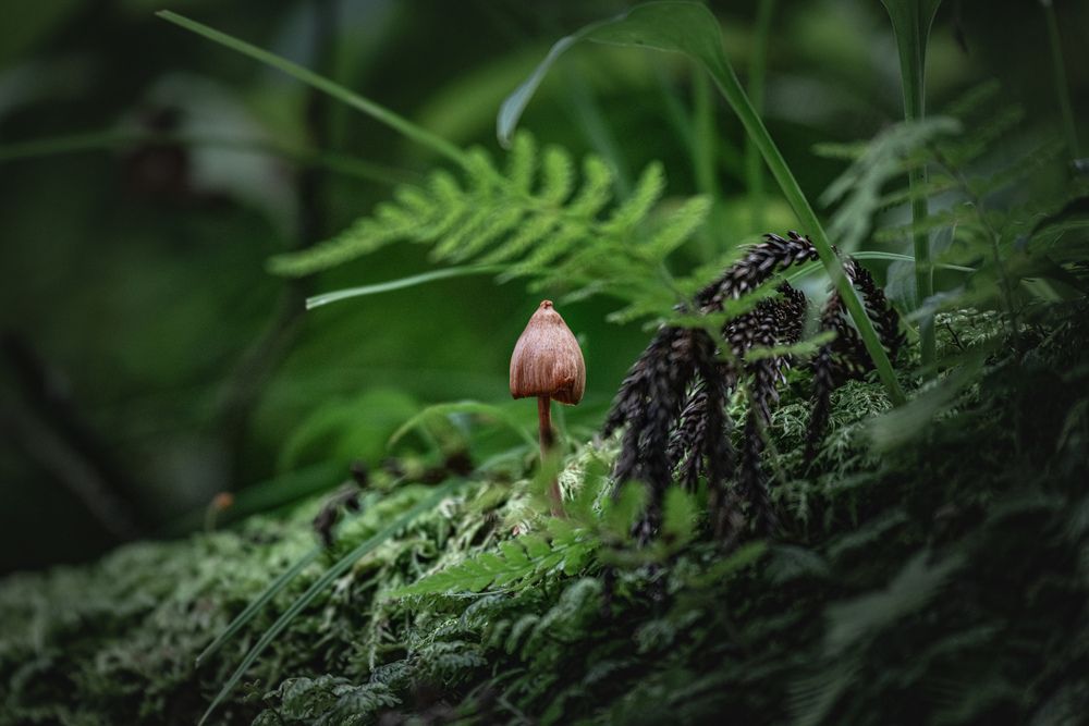 Photograph by Iwamoto Reina