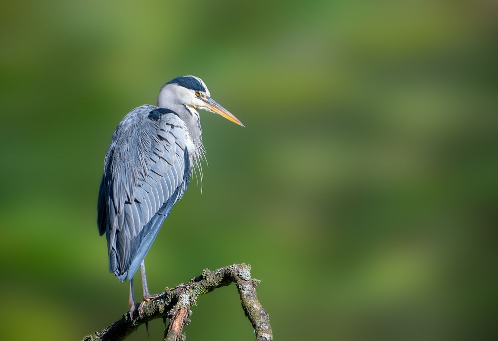 Photograph by Abdulrazzak M. Al Ali
