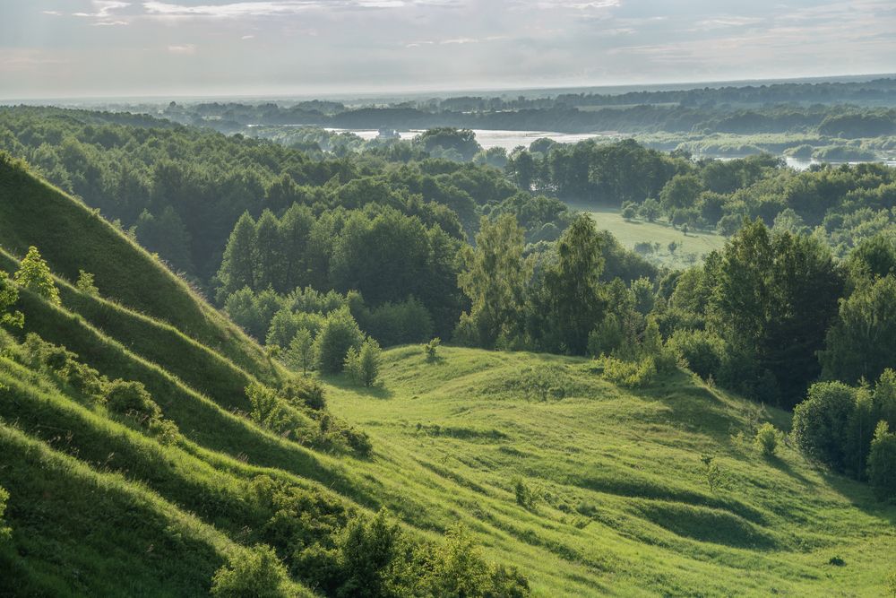 Photograph by АНДРЕЙ АБАКУМОВ