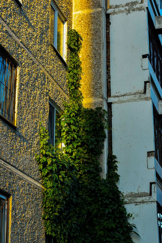 Photograph by Никита Зубов