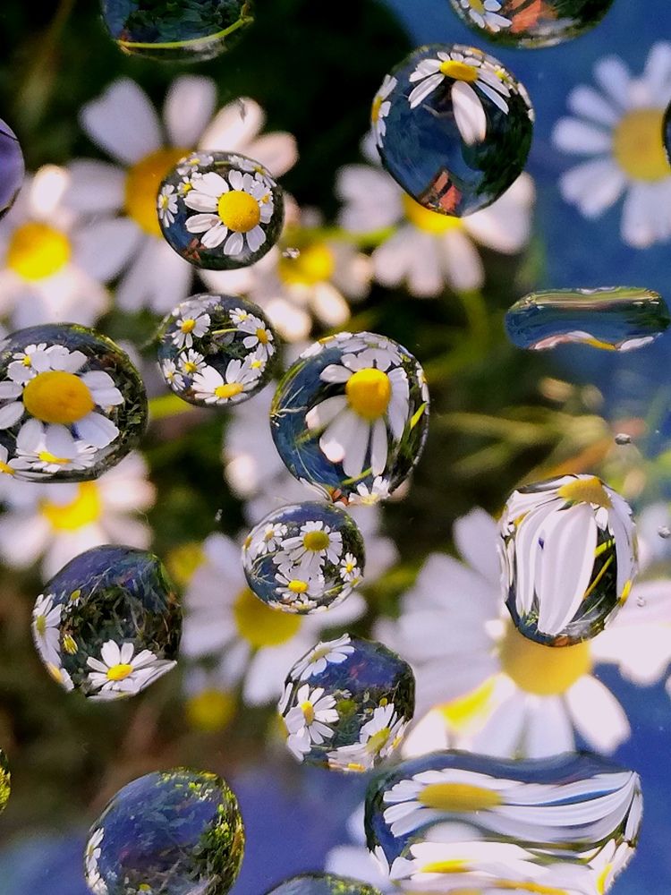 Photograph by Ульяна Кузьмина