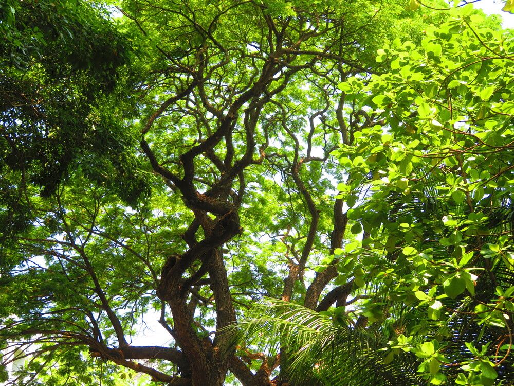 Photograph by Shiyuan