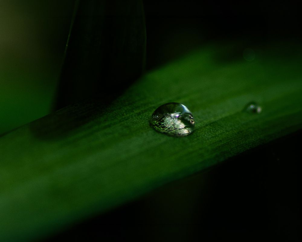 Photograph by Kuramochi Kunio
