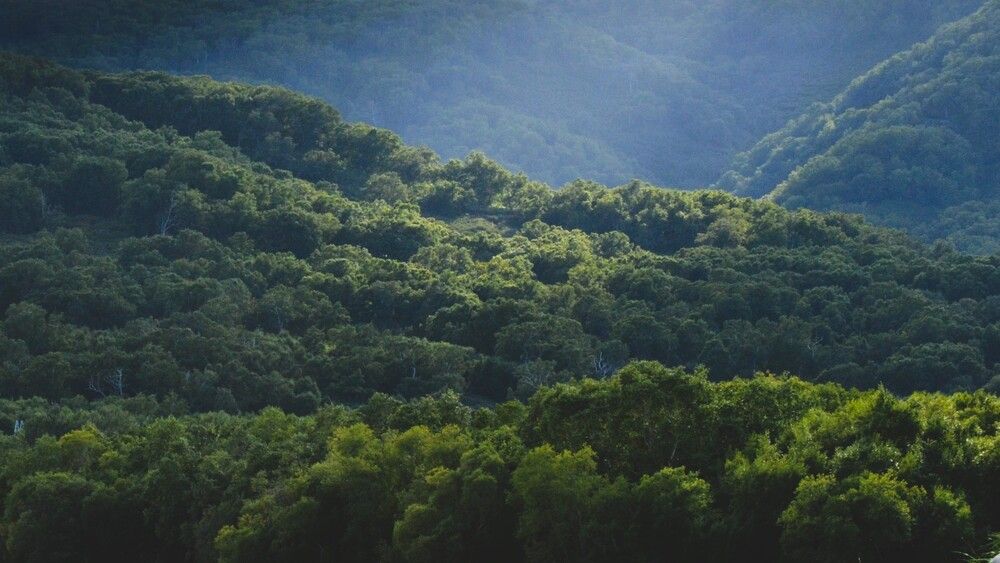 Photograph by Ения Семина