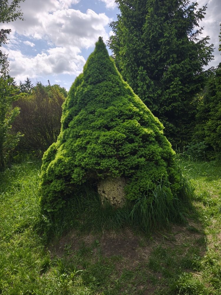 Фотография автора Hleb Karneichuk