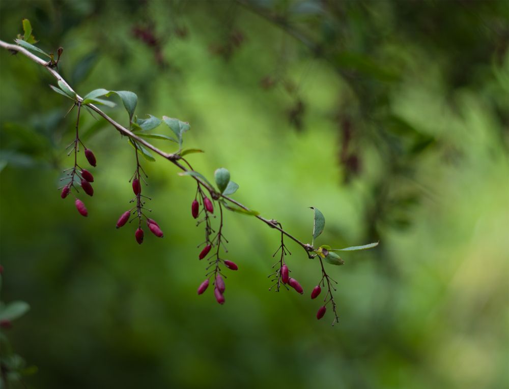 Photograph by Оксана Егорова