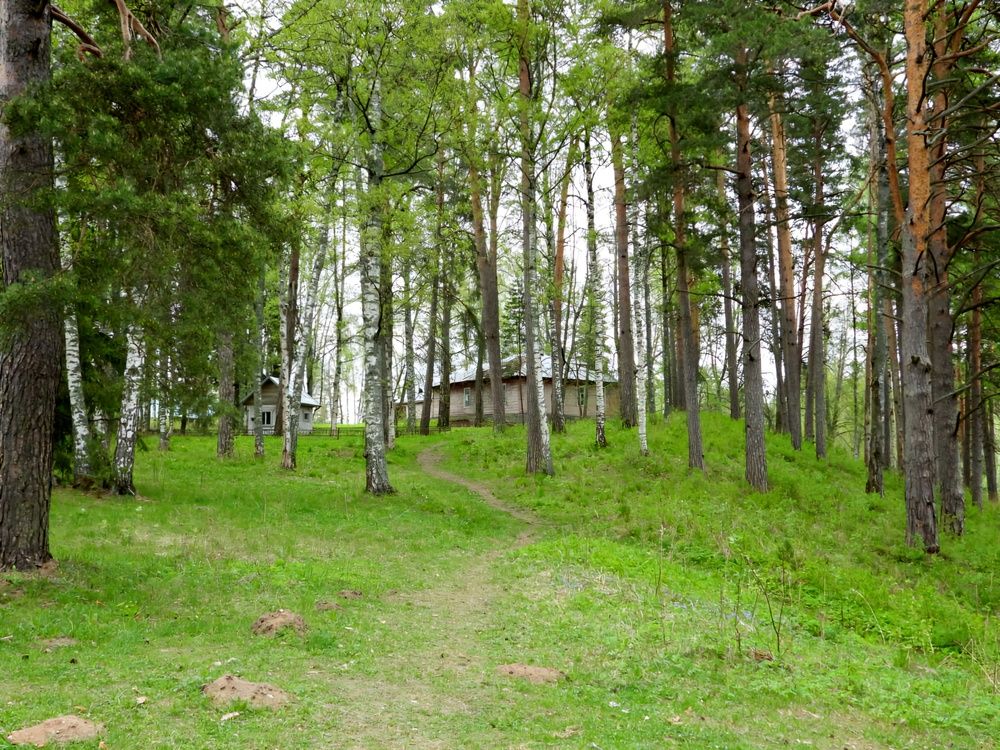 Photograph by Александр Шаварин