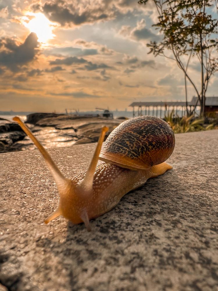 Фотография автора Mustafa Akseli