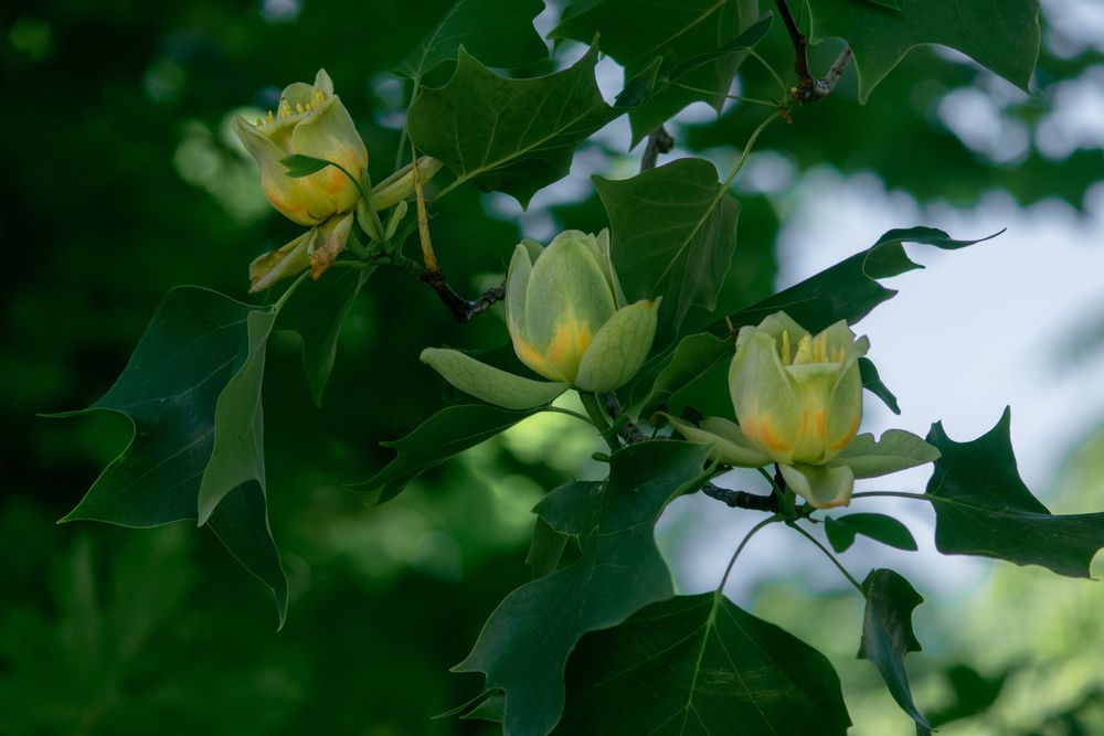 Photograph by Vitalii Kaznin