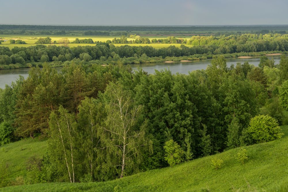 Photograph by АНДРЕЙ АБАКУМОВ