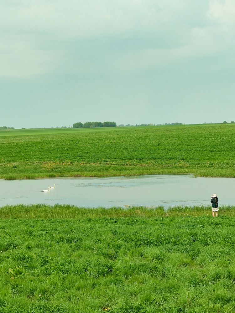 Photograph by Ольга Маслова