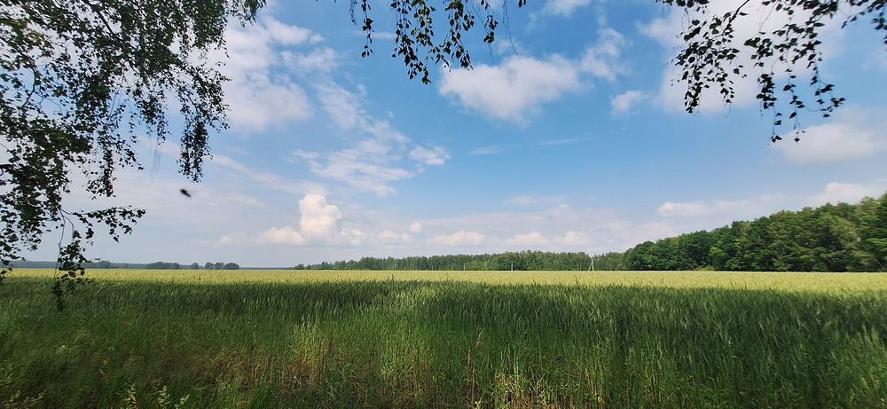 Photograph by Лилия Рыжанкова