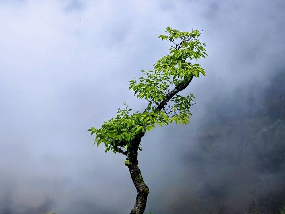 Photograph by Игорь Бахарев