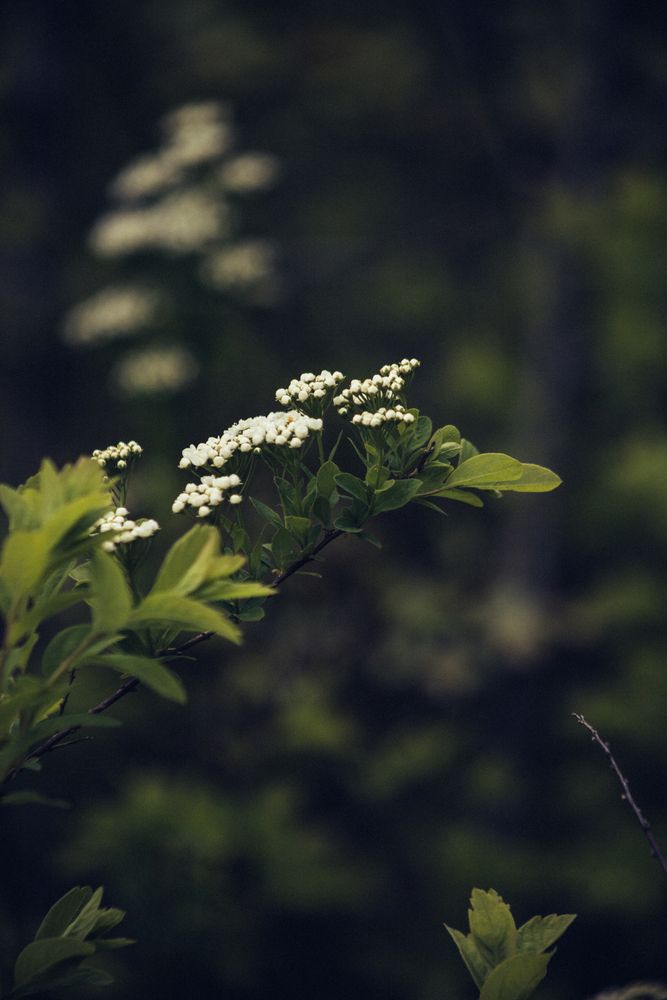 Photograph by Елена