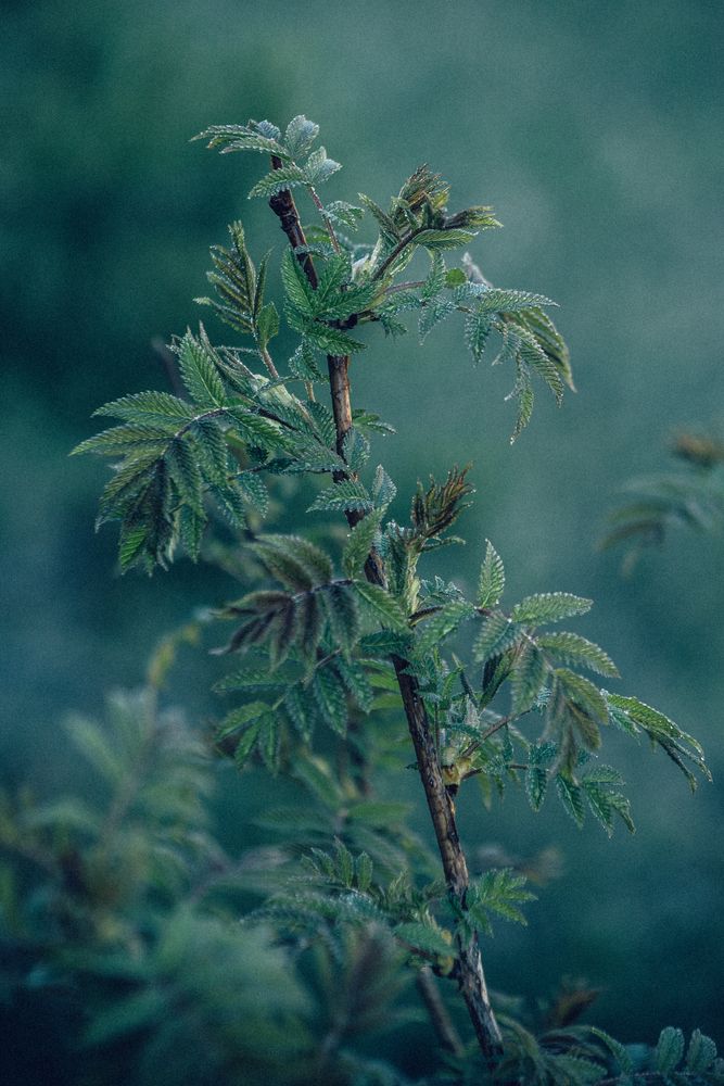 Photograph by Елена
