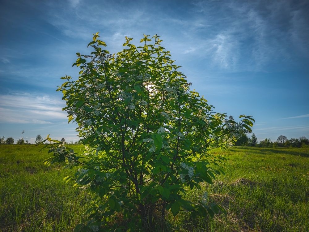 Photograph by Кирилл Сидоров