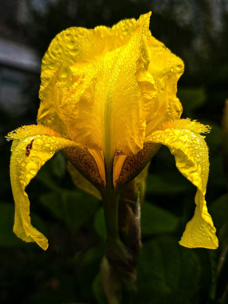 Photograph by Татьяна Дорожкина
