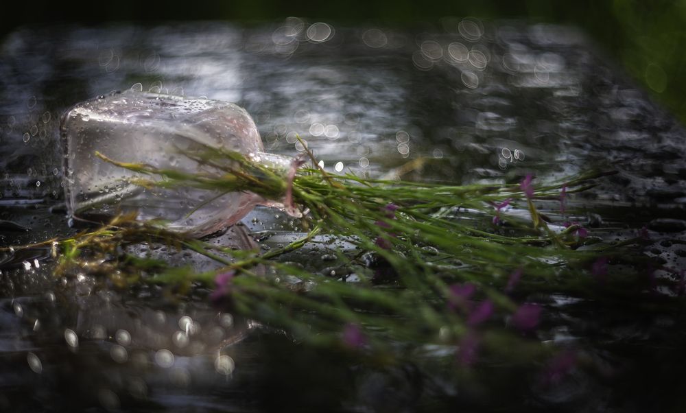 Photograph by Чибиркин Александр
