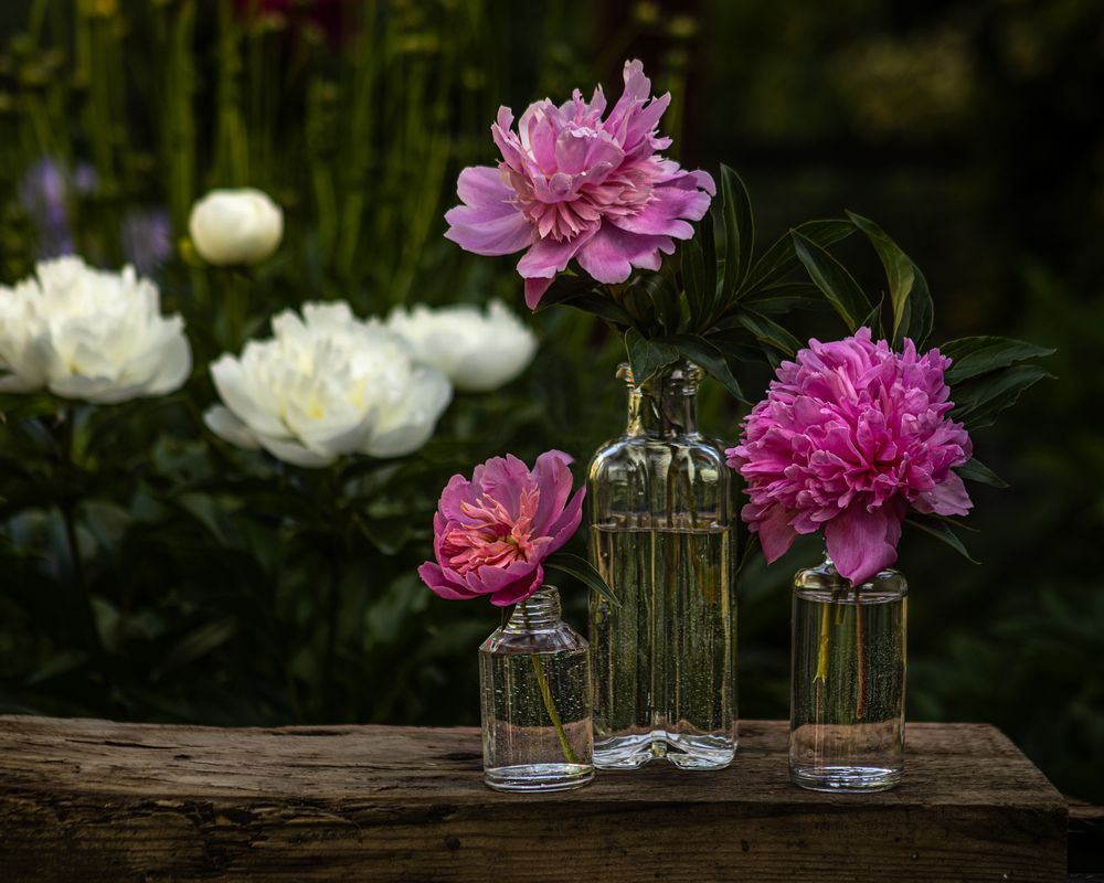 Photograph by Victoria Mogulyan