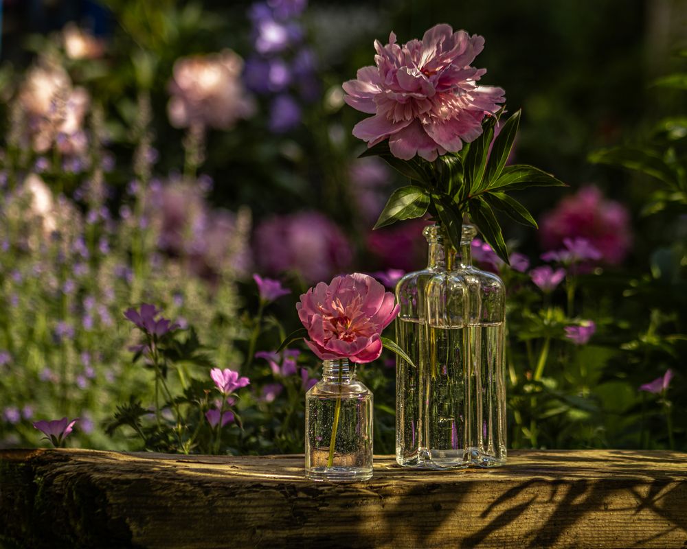 Photograph by Victoria Mogulyan
