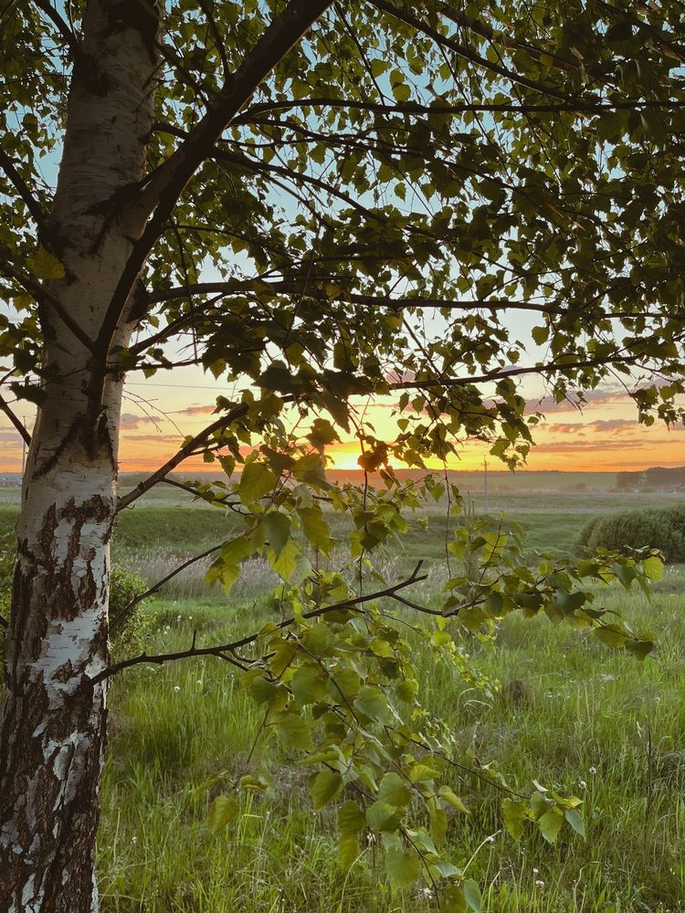 Photograph by Ольга Ручьева