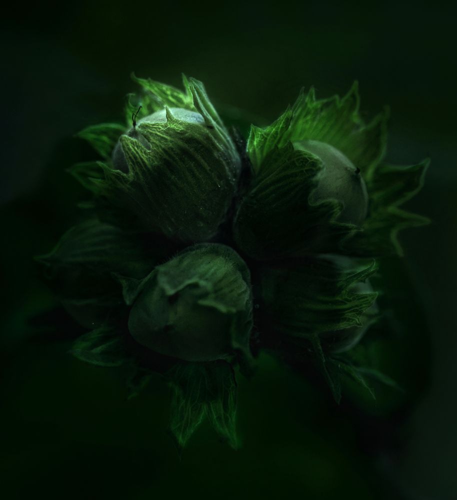 Photograph by Светлана Алексеева
