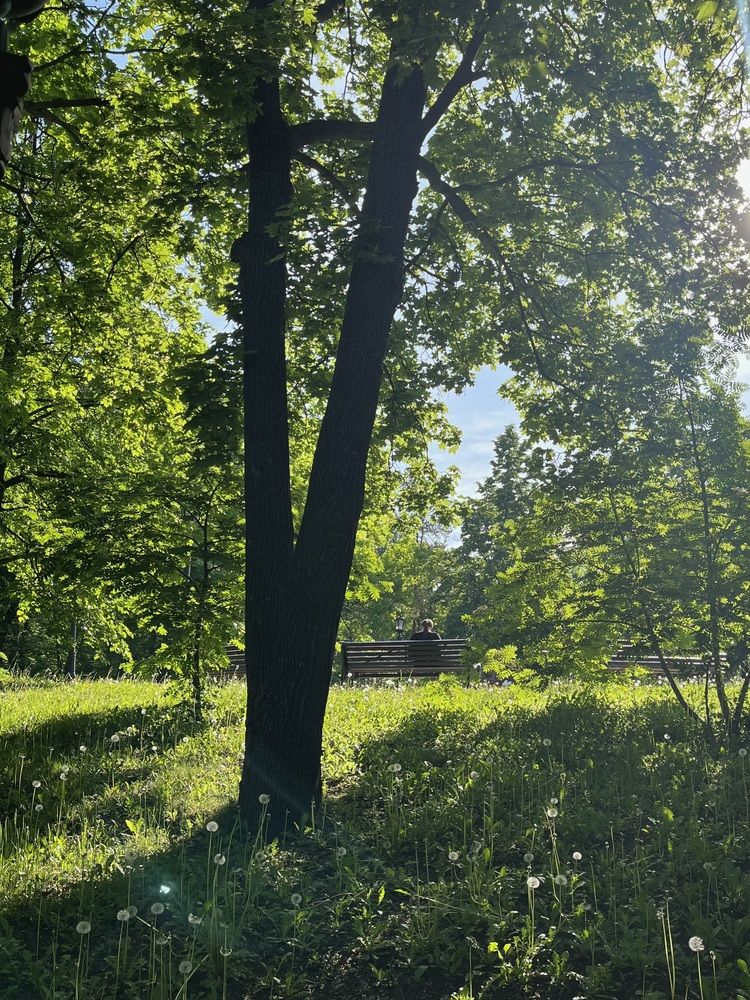 Photograph by Ольга Ручьева