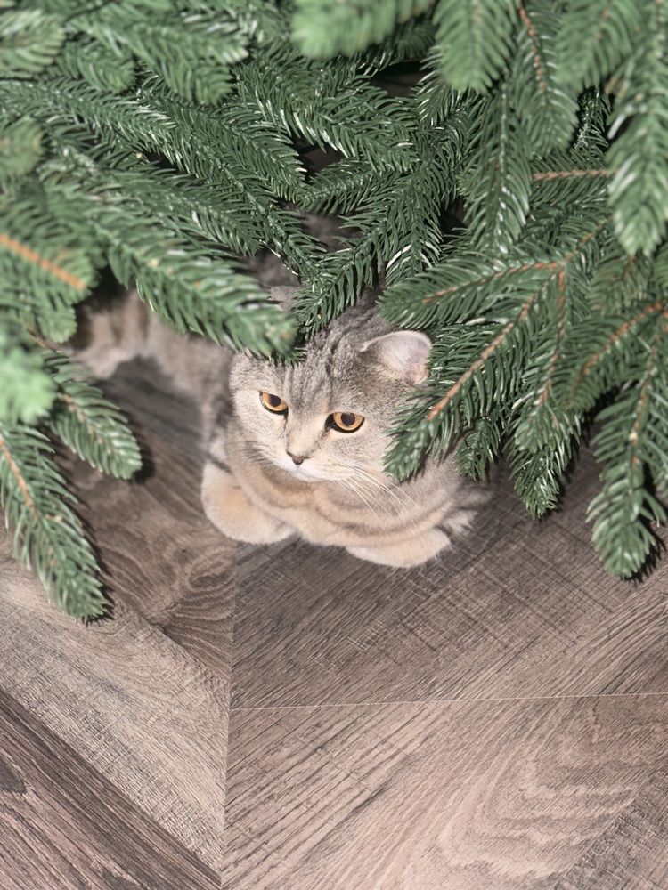 Photograph by Кристина Катрашенко
