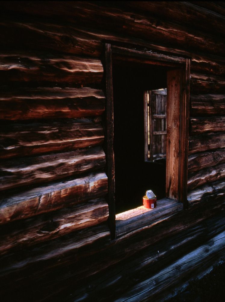 Photograph by Дмитрий Ткаченко