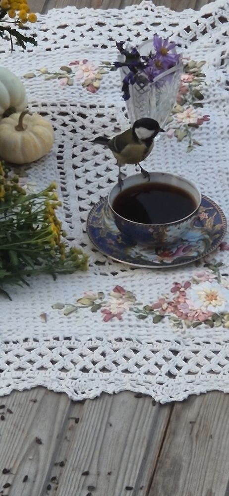Photograph by Ольга Мусина