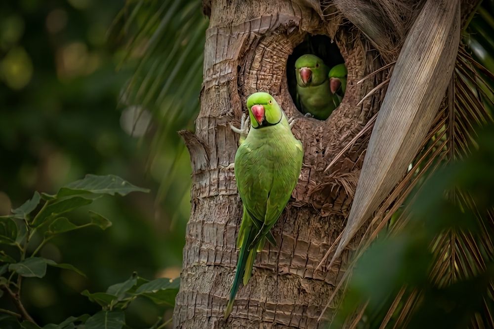 Photograph by Tanusri RoyChowdhury