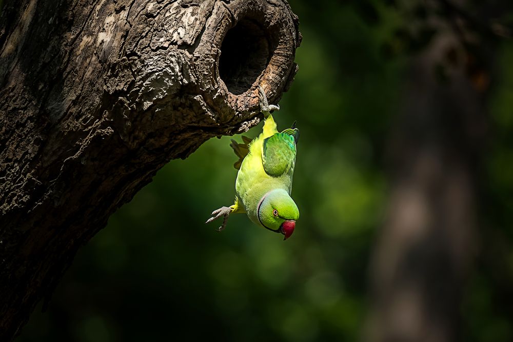 Photograph by Tanusri RoyChowdhury