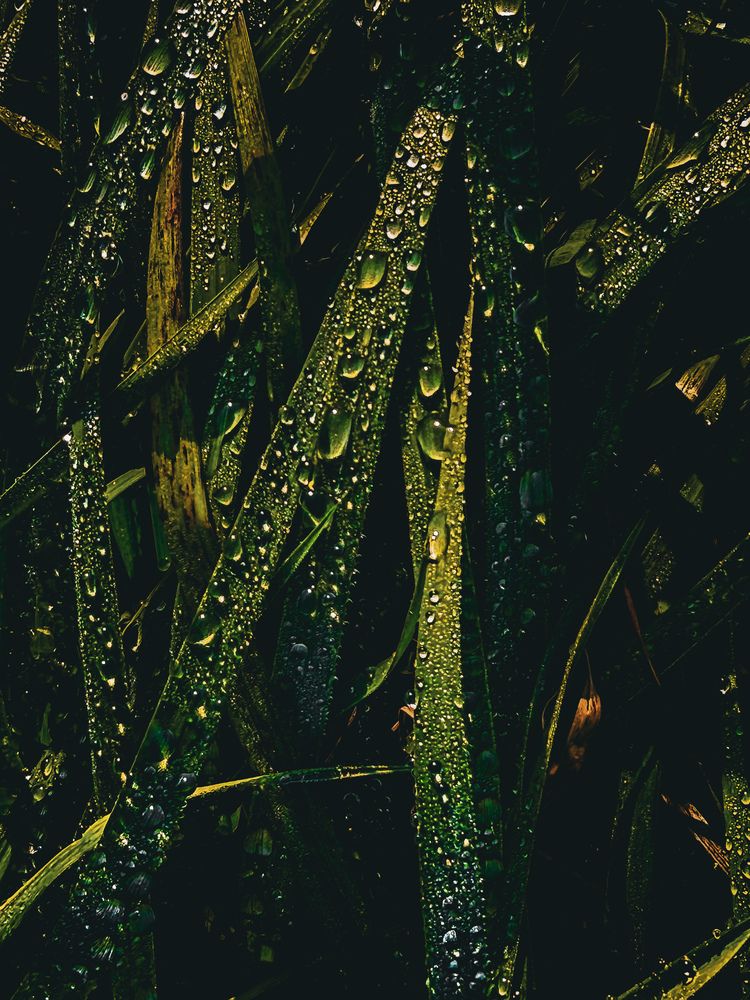 Photograph by Ирина Герлин