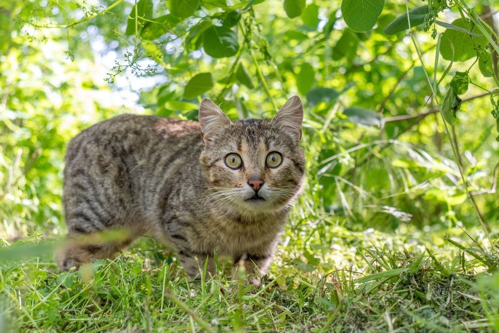 Photograph by Виталий Панченко