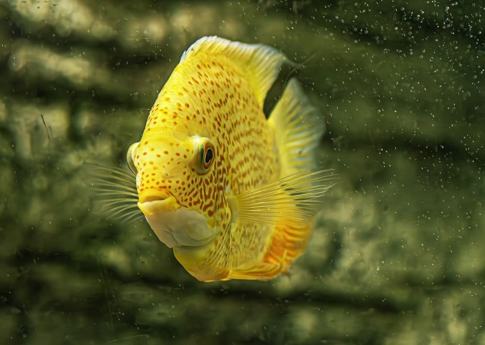 Photograph by Михаил Измайлов