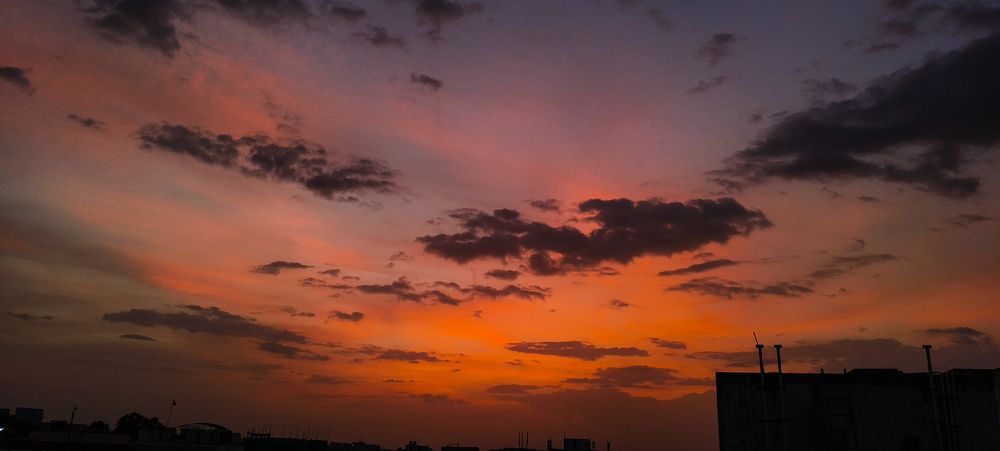 Silhouette orange sunset