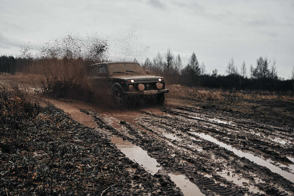Photograph by Надежда Кучина