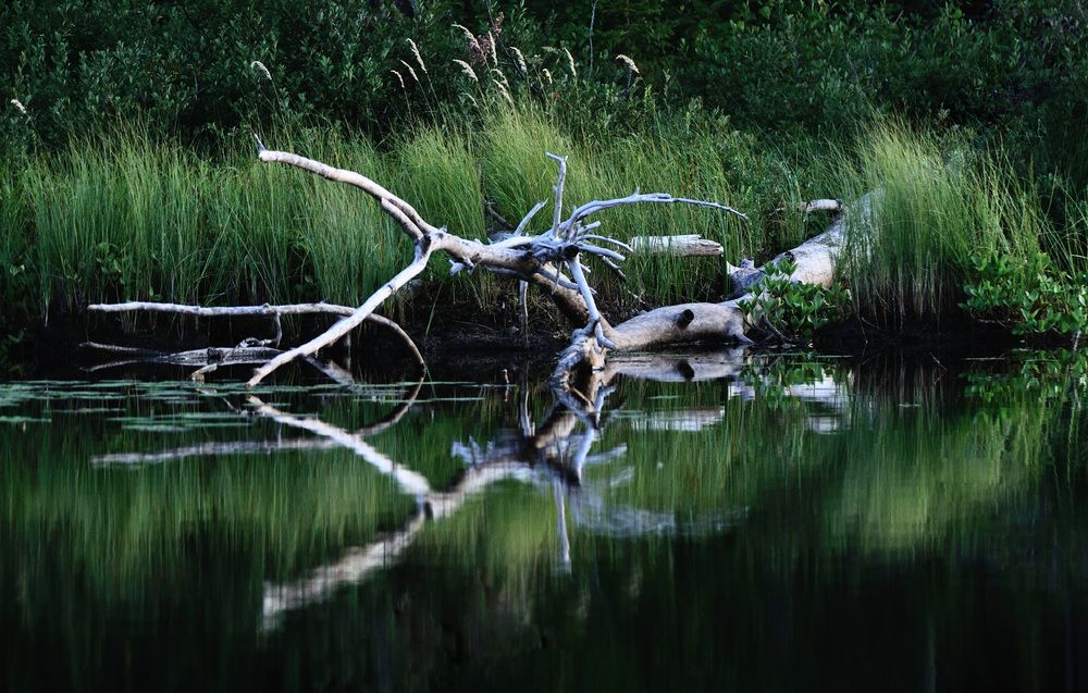 Photograph by Андрей Куликов