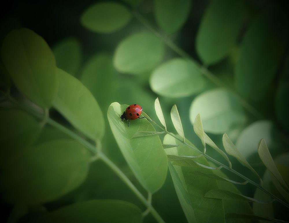 Photograph by Искандар Газизов