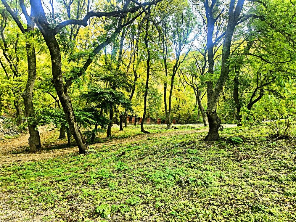 Photograph by Виктор Мухин
