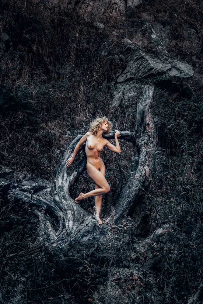 Фотография автора Шухрат Якубаев