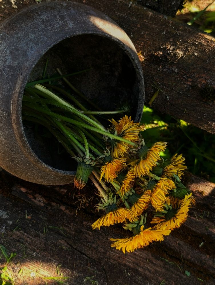 Photograph by Юлия