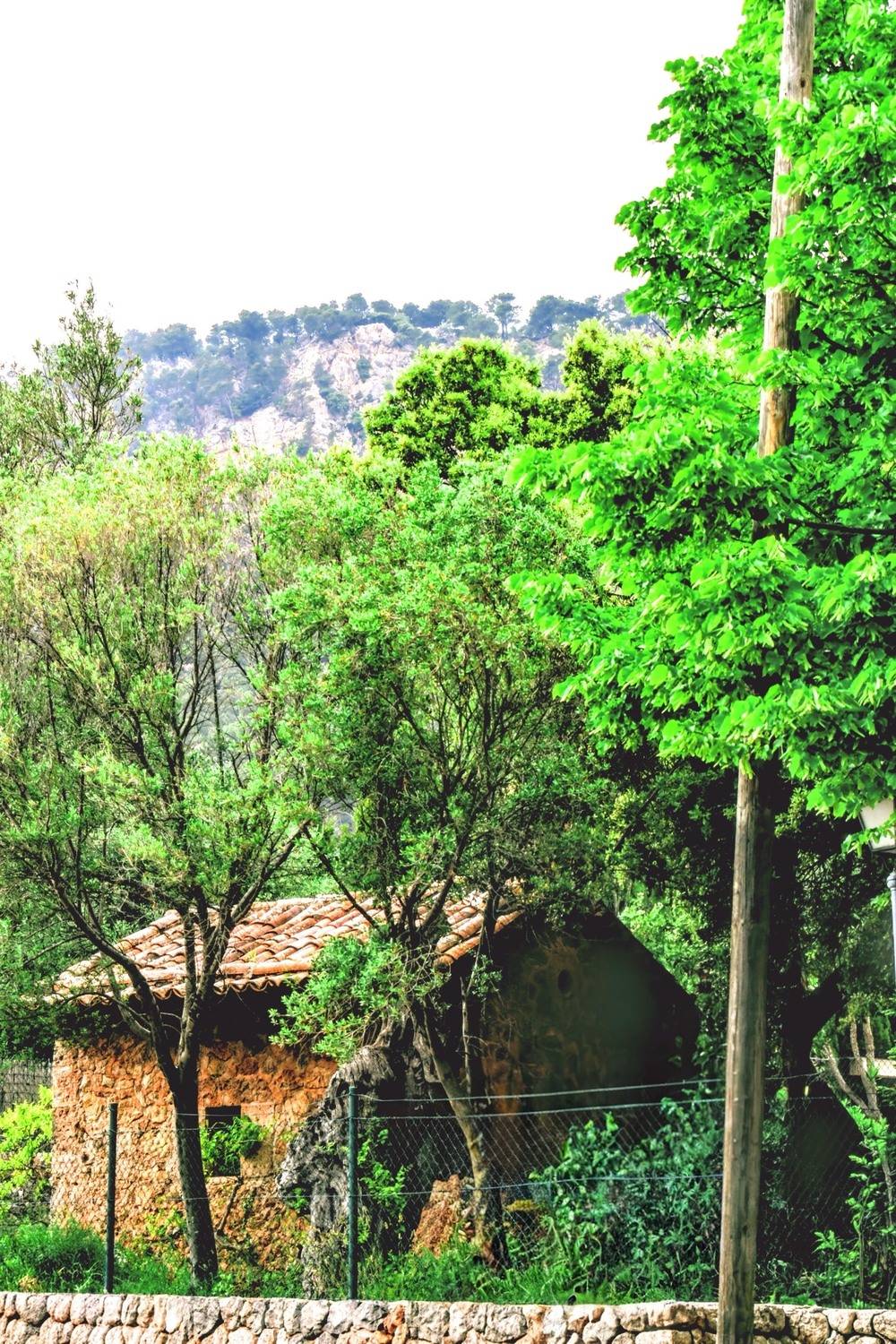 Green Trees Surround a small stone home in portiugal