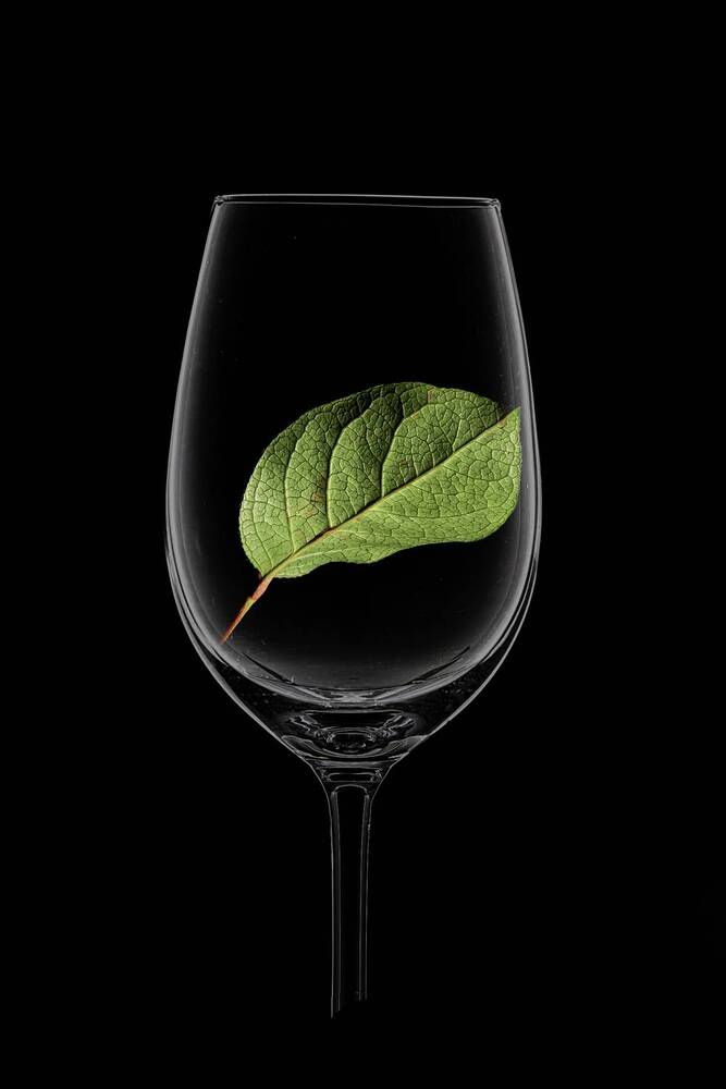 Photograph by Aleksandr Belov