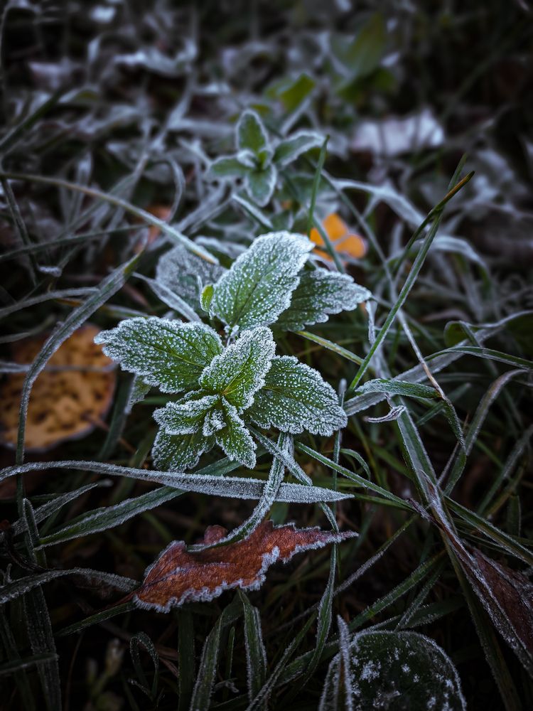 Photograph by Александр Хухлов