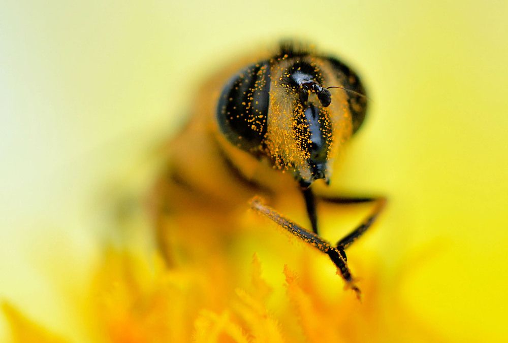 Photograph by Marjo Steffen